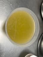 Best Plain Soup净汤 in Levittown, NY